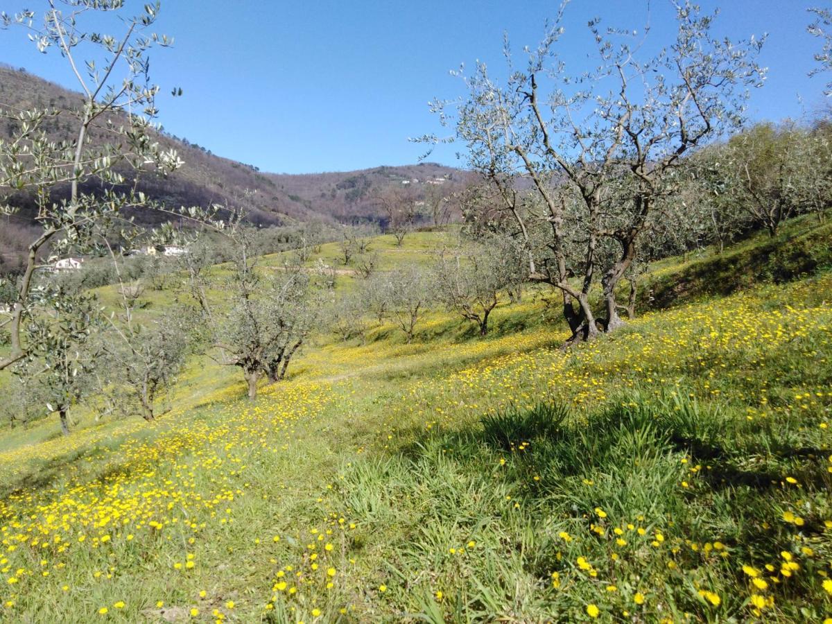 Agriturismo Terrarossa Pistoia Exteriör bild