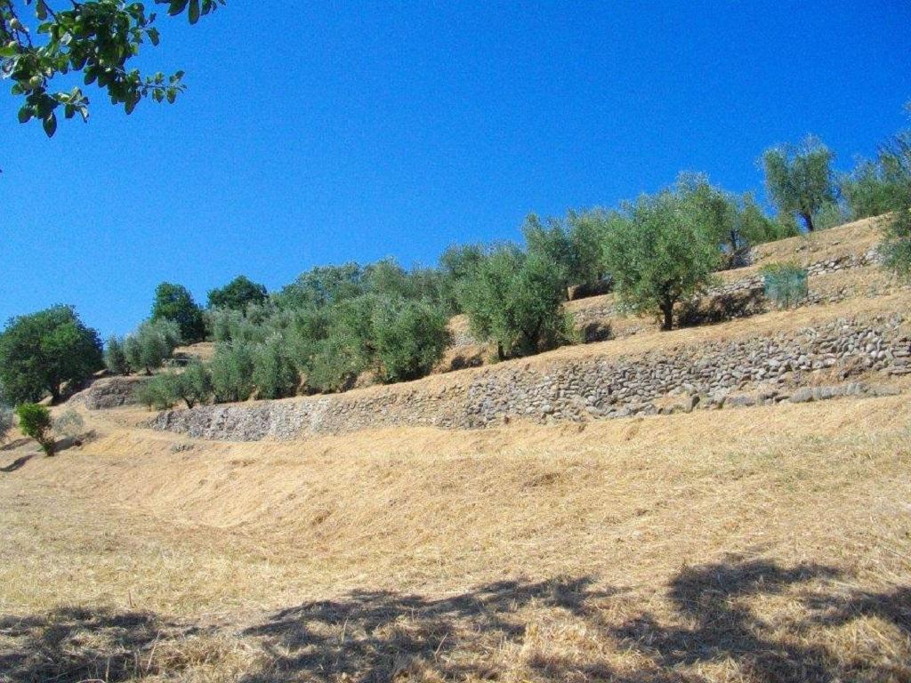 Agriturismo Terrarossa Pistoia Exteriör bild