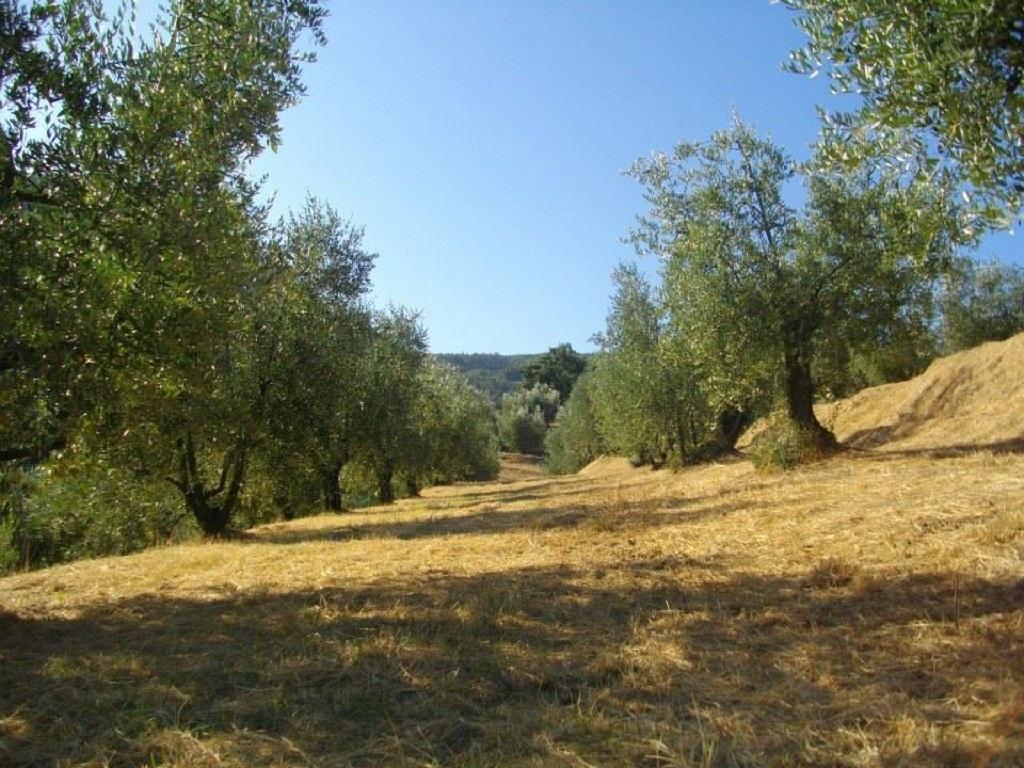 Agriturismo Terrarossa Pistoia Exteriör bild