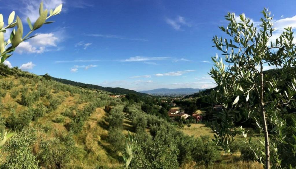 Agriturismo Terrarossa Pistoia Exteriör bild