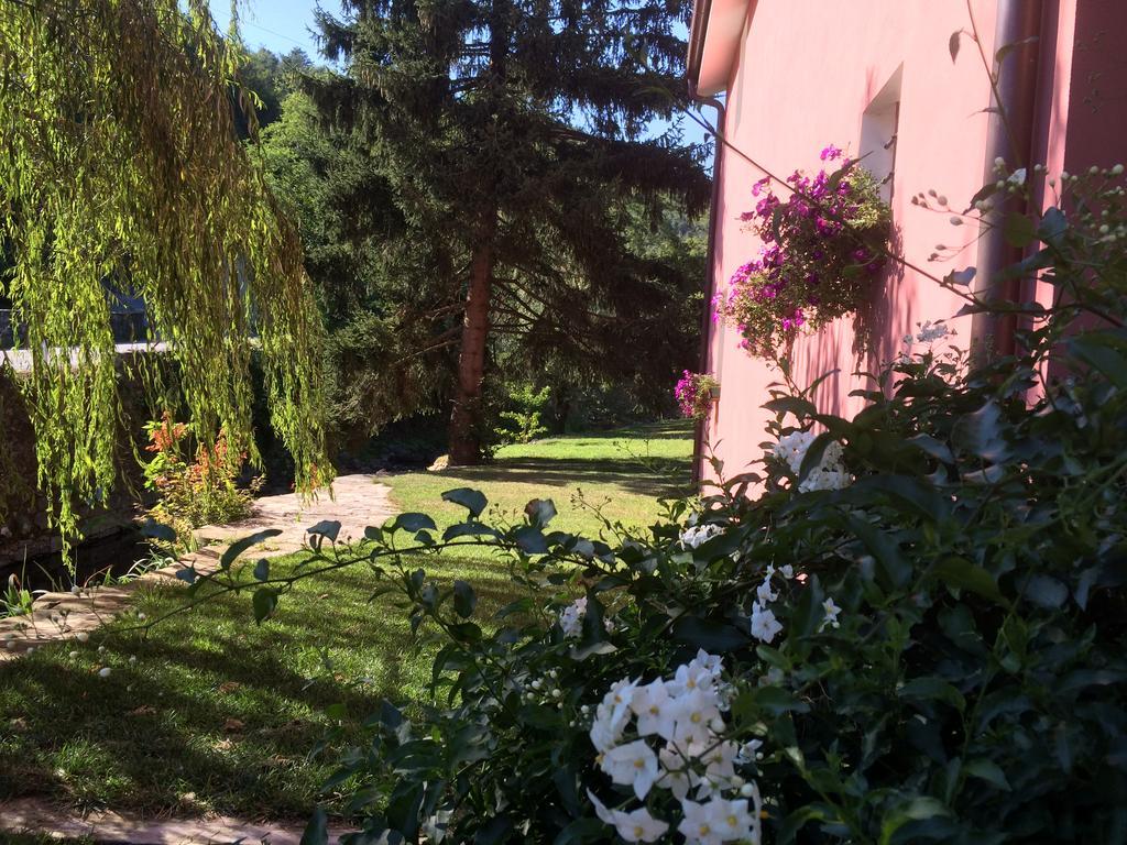 Agriturismo Terrarossa Pistoia Exteriör bild